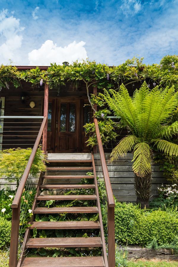 Hollyhock Bed & Breakfast Маседон Екстериор снимка
