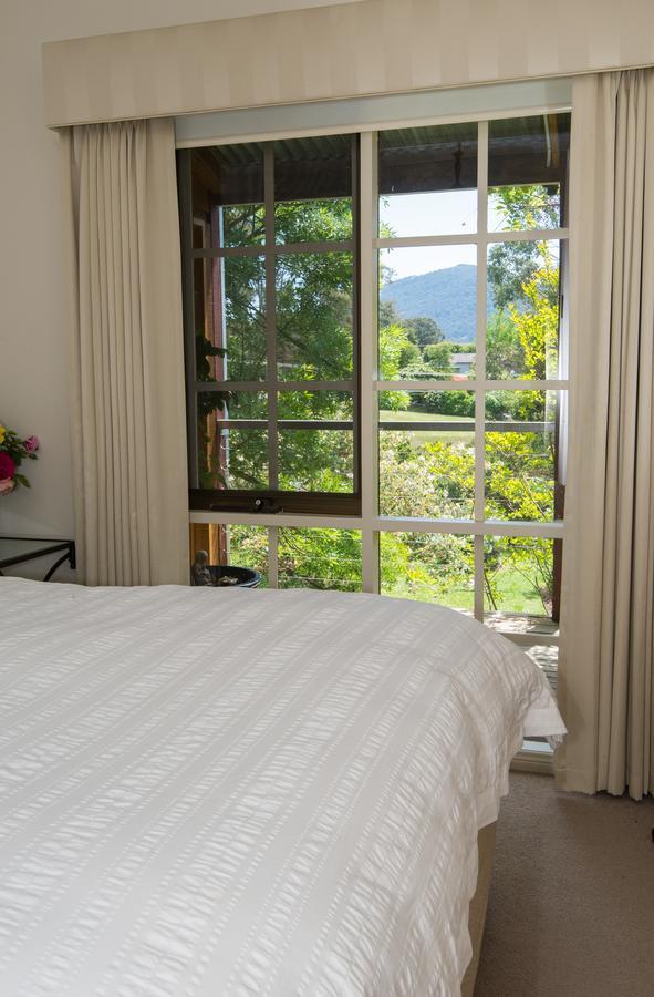 Hollyhock Bed & Breakfast Маседон Стая снимка